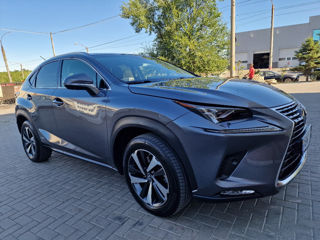 Lexus NX Series