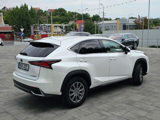 Lexus NX Series foto 3