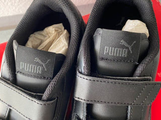 Puma 31