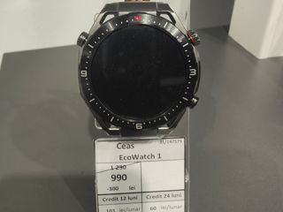 EcoWatch, preț - 990 lei