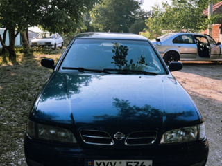 Nissan Primera foto 2