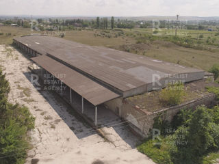 Vânzare, spațiu industrial, 4.4469 ha, Raionul Florești, Orașul Mărculești foto 2