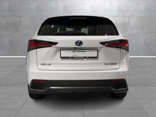 Lexus NX Series foto 5