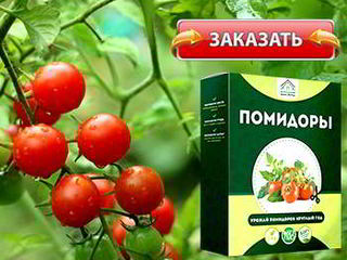 Мини-ферма - Домашние помидоры foto 3