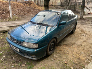 Nissan Primera foto 2