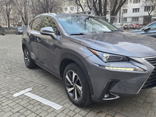 Lexus NX Series foto 3