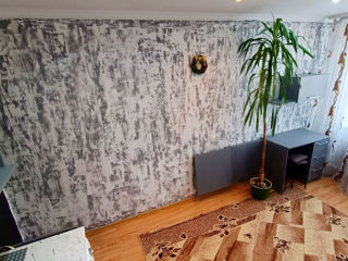 Ap. 1 cam., 17 м², 4/5 et.