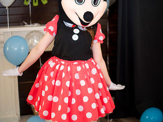 Chirie Mickey mouse foto 2