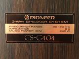 Pioneer CS-G404       2 шт. foto 3