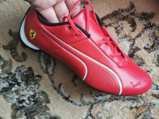 Puma Ferrari mar37.5 originale