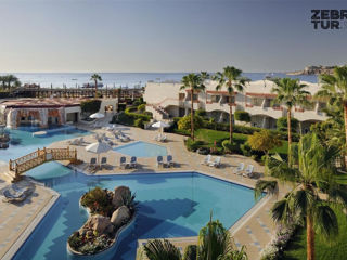 Egipt, Sharm El Sheikh - Naama Bay Promenade Beach Resort 5*