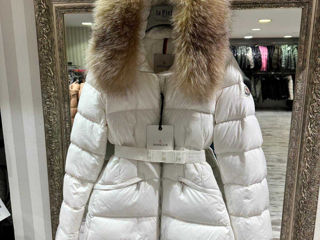 Max Mara Fendi Moncler foto 8