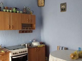 Casa +13 sote în zona ecologica și liniștită.  Poziționare lângă Nistru , s. Egoreni , or.Soroca фото 3
