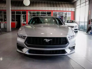 Ford Mustang foto 1