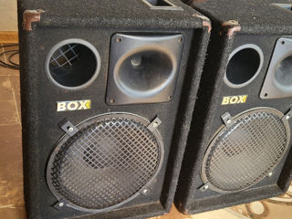 2 Boxe  A Cîte 300 Wt, Mixer + Amplificator Dogged  2400 Wt