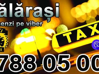 0 788 05 005 Taxi Calarasi foto 8