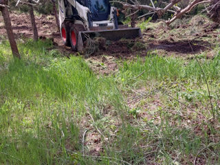 Servicii bobcat, excavator, kamaz foto 5