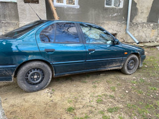 Nissan Primera foto 6