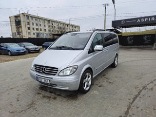 Mercedes Viano