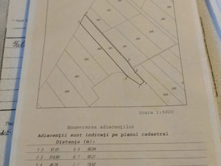 Teren Agricol 1,50 ha Orhei, sat. Step-Soci