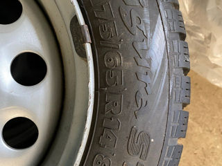 Шины 175/65 R14 Tigar Sigura Stud 82T foto 4