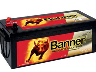 Banner Buffalo Bull SHD Pro 225Ah /1150A (Б/У)