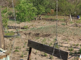 Продам, дачу в с. Кирка, НовоАненского района.Voi vinde o cabană în satul Kirka, Districtul Novoanen foto 4