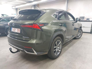 Lexus NX Series foto 5