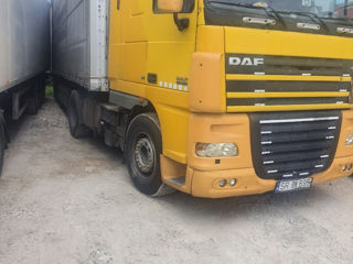 Daf foto 8