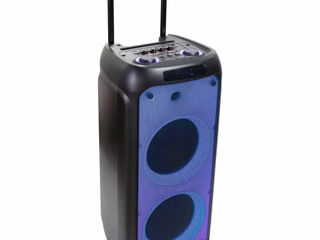 Eden Party Speaker ED-1016 with 2 Wireless Microphones 100W, 10", Black