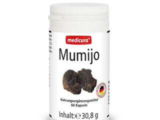 Mumijo 200mg produs German Мумиё 200мг Германия foto 1