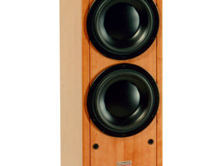 Dynaudio contour 3.3 hi-end. foto 4