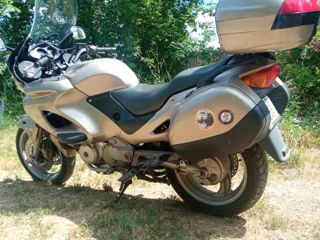 Honda Девиль650 foto 2