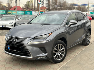 Lexus NX Series