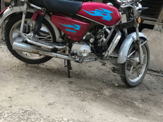 Alpha Moto ZS50F foto 5