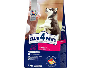 Сухой корм для щенков Club 4 Paws Puppies 2 kg