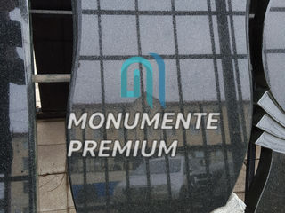 Monumente funerare din granit - ucraina - monumente premium foto 6