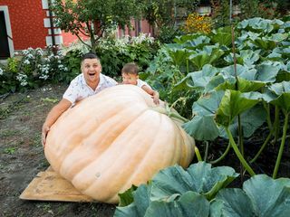 Semințe și răsaduri de legume "semas" st.Ratuș r-n.Criuleni. semințe bostan gigant "atlantic" sua foto 2