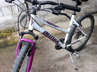 Bicicleta Author - 160 €