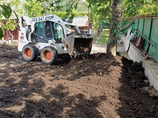 Bobcat! foto 3