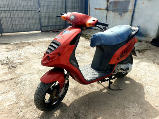 Piaggio 80cc Malosii foto 10