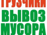 Бус и минибус от 70 лей/час есть и грузчики (очень шустрые)+цены низкие foto 6