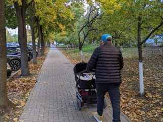 Mountain Buggy duet, коляска для двойни