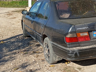 Nissan Primera foto 5