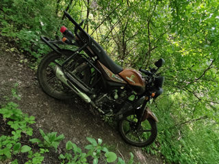 Viper Viper 125