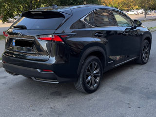 Lexus NX Series