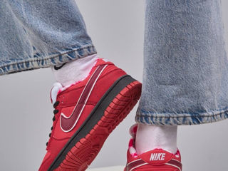 Nike SB Dunk Low Red Lobster Unisex foto 9