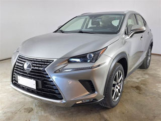 Lexus NX Series