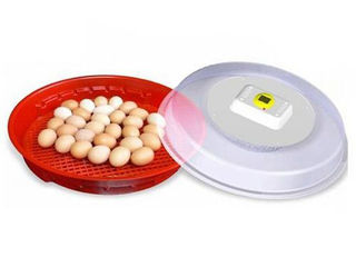 Incubator 70 ouă Puisor 102T(termostat)/Инкубатор 70 яиц Puisor 120 переп./Garantie/Livrare Garantie