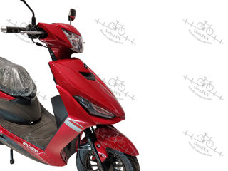 Wolf Motors 80CC foto 2